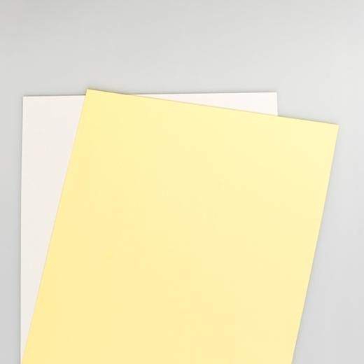 XEROX PAPEL CARBONLESS PREALZADO A4 80GR