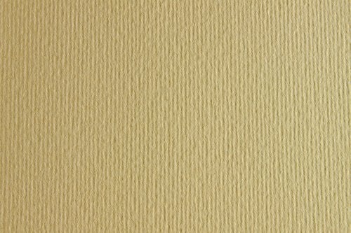 CARTULINA 50x70 FABRI. 220g LR PANNA P/