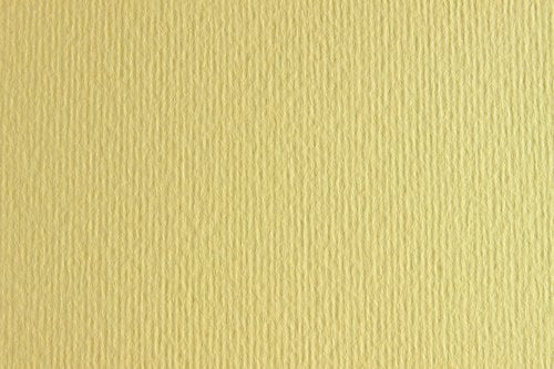 CARTULINA 50x70 FABRI. 220g LR ONICE P/