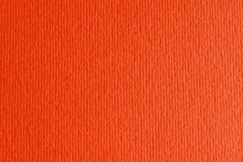 CARTULINA 50x70 FABRI. 220g LR ARAG. P/