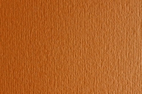 CARTULINA 50x70 FABRI. 220g LR AVANA P/