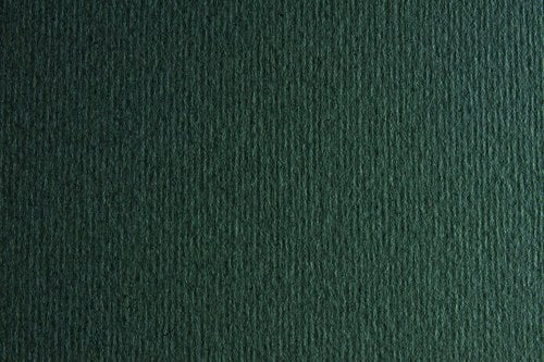 CARTULINA 50x70 FABRI. 220g LR FERRO P/