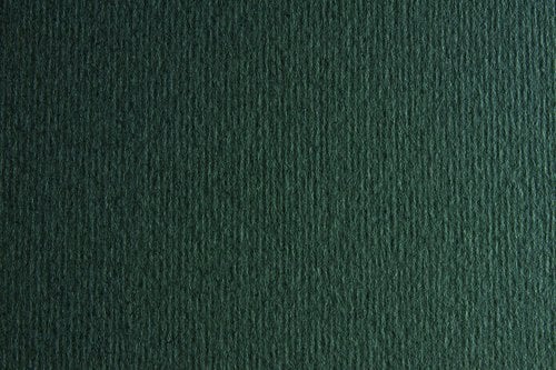 CARTULINA A4 SIRIO 250g LR FERRO P/50