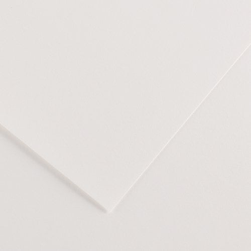 CARTULINA 70x100 CANSON 220g LF BLANCO