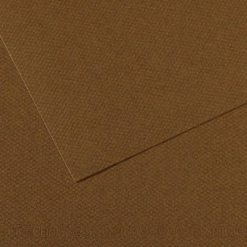 LAMINA MI-TEINTES 50x65 PAQ.10h (501)