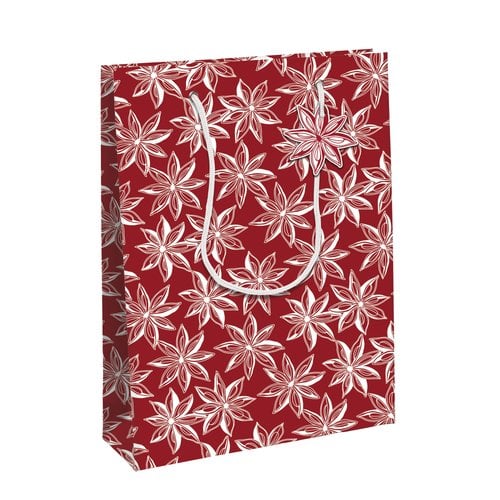 BOLSA PAPEL KRAFT 33x26 CITRICOS P/6