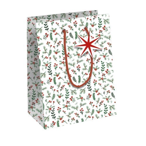 BOLSA PAPEL KRAFT 25x22 COSI NAV. P/6