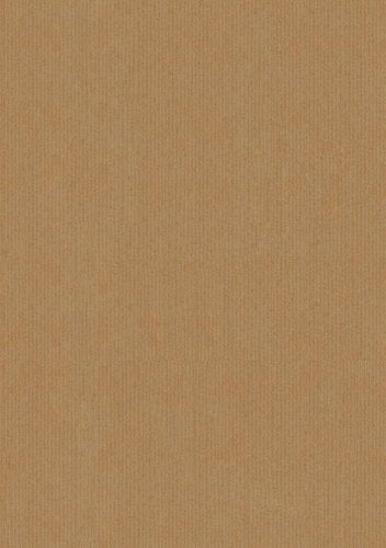 BOLSA PAPEL TV KRAFT 14x9 KRAFT P/