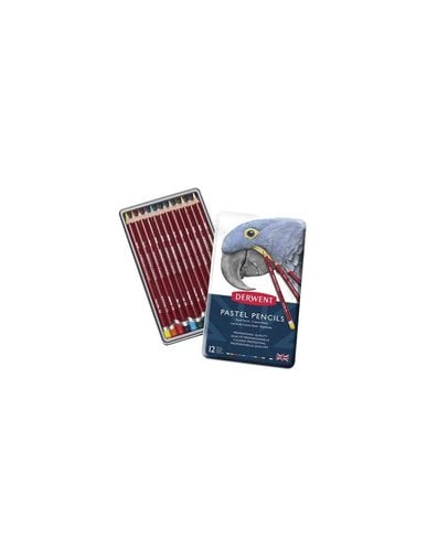 LAPICES COLOR DERWENT PASTEL C/12