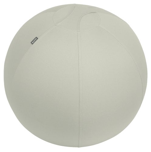 SILLA BALON LEITZ ERGO 65cm ANT. GRIS