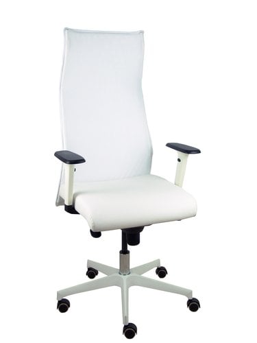 SILLON PIQUERAS SAHUCO DIREC. S