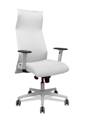 SILLON PIQUERAS SAHUCO DIREC.