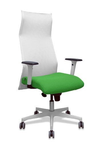SILLON PIQUERAS SAHUCO DIREC.