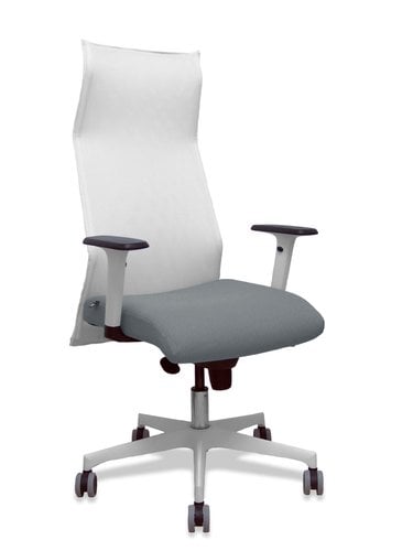 SILLON PIQUERAS SAHUCO DIREC.
