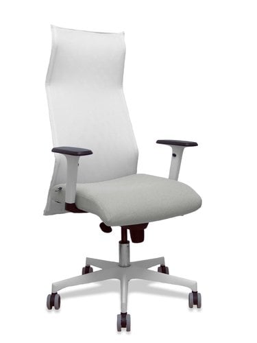 SILLON PIQUERAS SAHUCO DIREC.