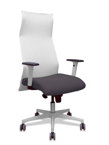 SILLON PIQUERAS SAHUCO DIREC.