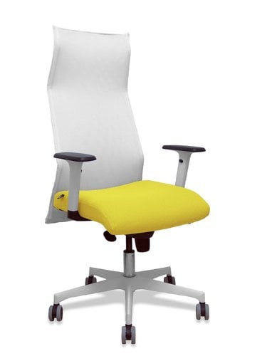 SILLON PIQUERAS SAHUCO DIREC.