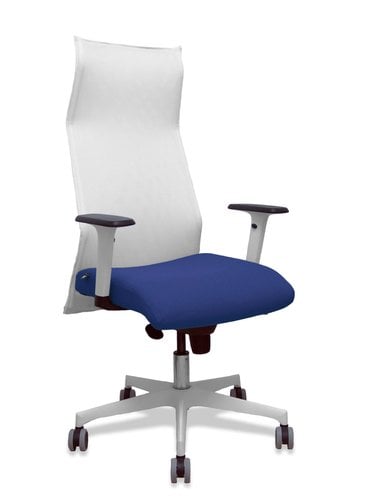 SILLON PIQUERAS SAHUCO DIREC.
