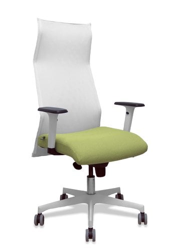 SILLON PIQUERAS SAHUCO DIREC.