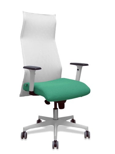 SILLON PIQUERAS SAHUCO DIREC.