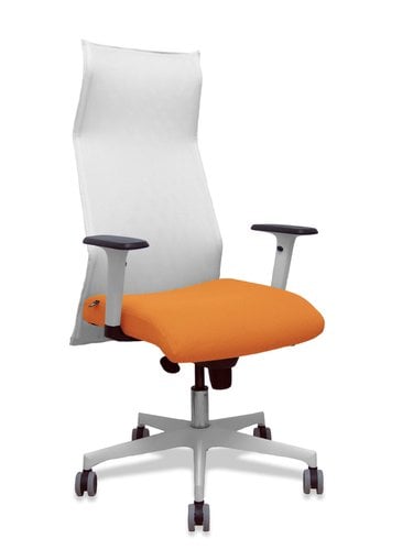 SILLON PIQUERAS SAHUCO DIREC.