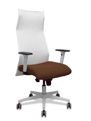 SILLON PIQUERAS SAHUCO DIREC.