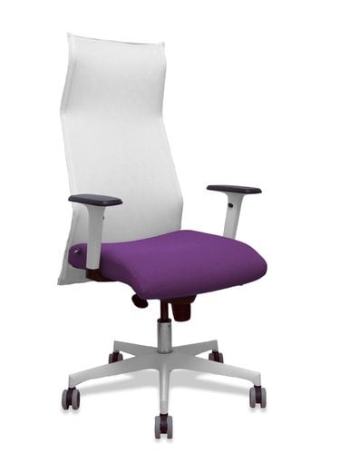 SILLON PIQUERAS SAHUCO DIREC.