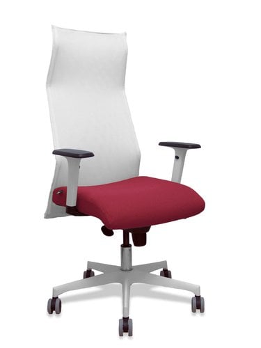 SILLON PIQUERAS SAHUCO DIREC.