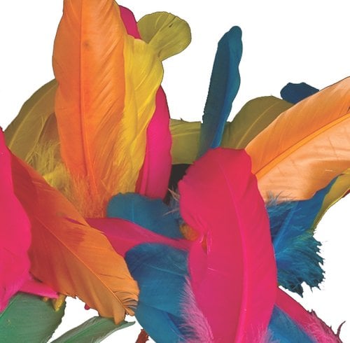 PLUMAS INDIO NIEFENVER BOLSA DE 50 UD