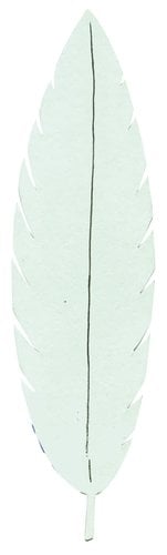 CARTULINA IMANTADA 24x15 cm VERDE B/3