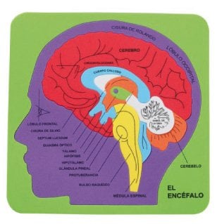GOMA EVA FIXO PUZZLE 21x21 SISTEMA