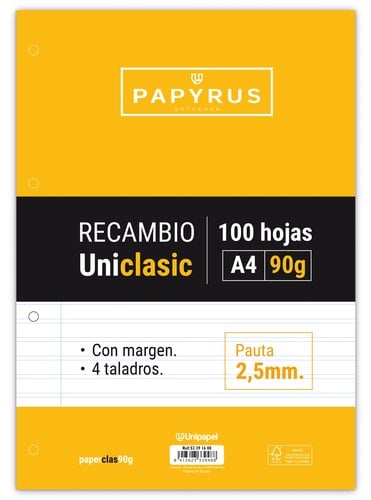 RECAMBIO PAPYRUS A4 100h 4 TAL.P2.5 C/M