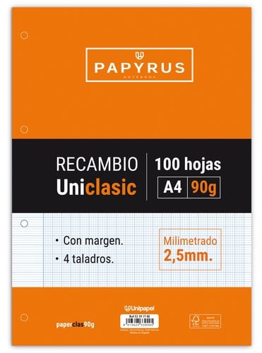 RECAMBIO PAPYRUS A4 100h 4 TAL.MM C/M