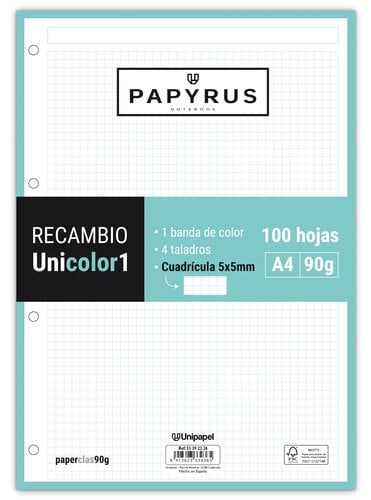 RECAMBIO PAPYRUS A4 100h 4 TAL.CD.5 MIN