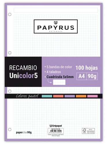 RECAMBIO PAPYRUS A4 100h 4 TAL.CD.5 PAS