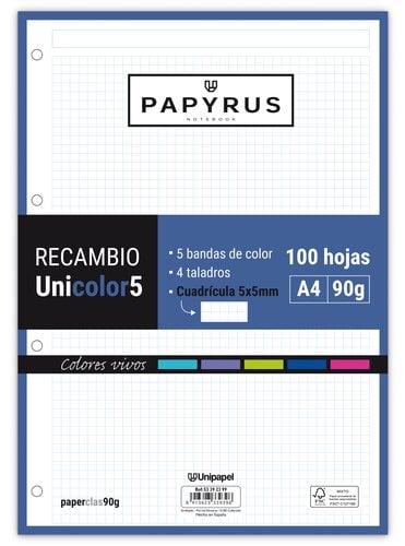 RECAMBIO PAPYRUS A4 100h 4 TAL.CD.5 VIV