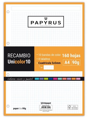 RECAMBIO PAPYRUS A4 160h 4 TAL.CD.5