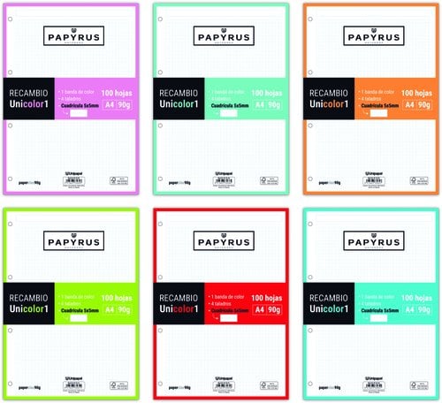 RECAMBIO PAPYRUS A4 100h 4 TAL.CD.5 SUR
