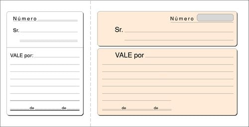 TALONARIO VALES LOAN
