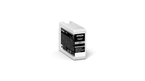 CART.IJ.EPSON T46S700 GRIS