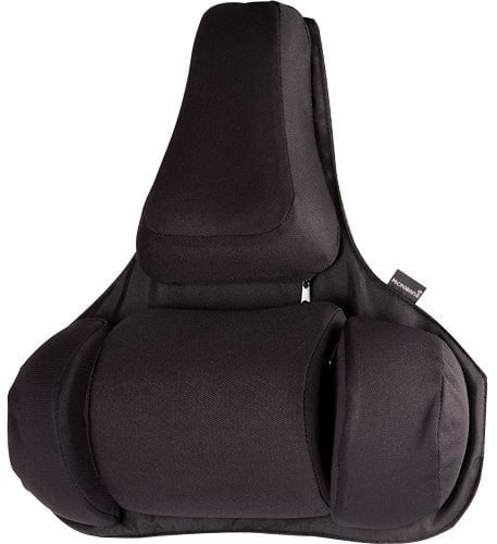 RESPALDO LUMBAR FELLOWES PROFESSIONAL SE