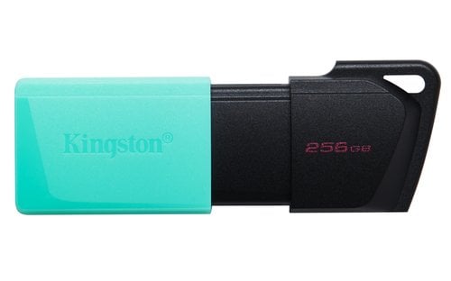 MEMORIA USB 256GB KINGSTON DTXM