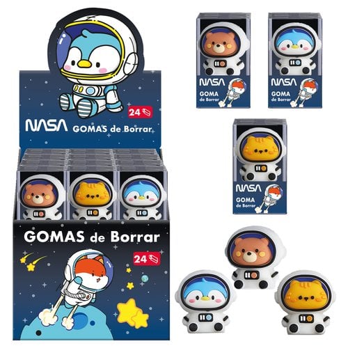 GOMA BORRAR DOHE NASA EXP.24